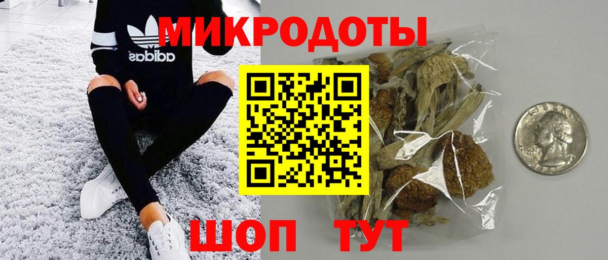 Псилоцибиновые грибы GOLDEN TEACHER Муром