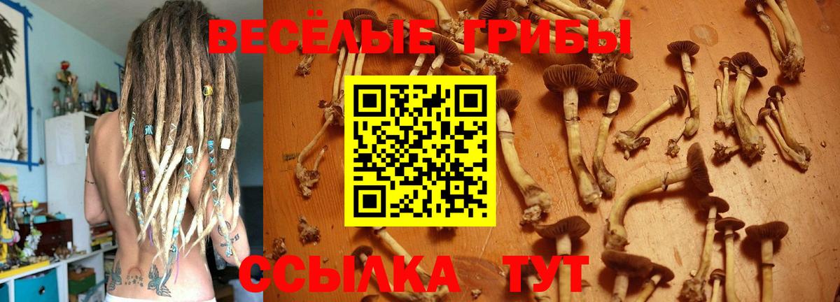 Псилоцибиновые грибы Magic Shrooms  Вход с VPN  Муром 
